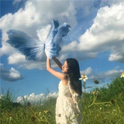满目皆琳琅